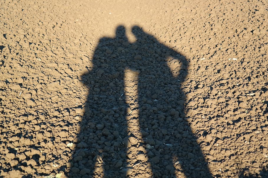 Shadow Play, Couple, Man, personal, woman, arable, long, pulled long, shadow, togetherness