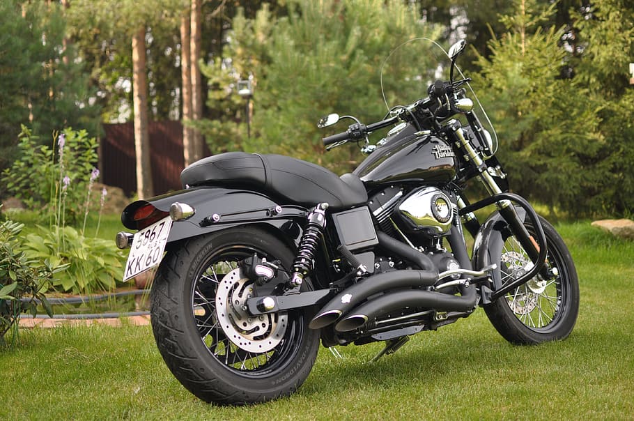 black, standard, motorcycle, parked, green, leafed, plant, bike, harley-davidson fxdb 2013, harley davidson