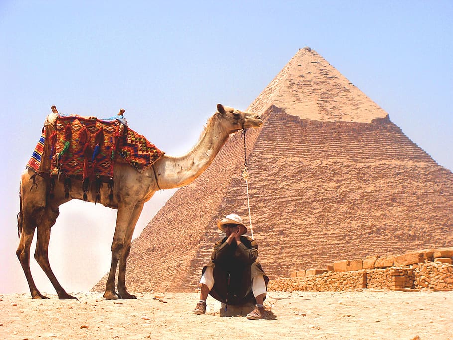 hombre, sentado, al lado, camello, genial, pirámide, Egipto, desierto, Oriente Medio, arena