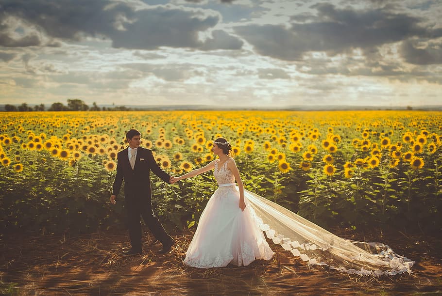 bride, groom, walking, sunflower field, daytime, woman, white, wedding, gown, man