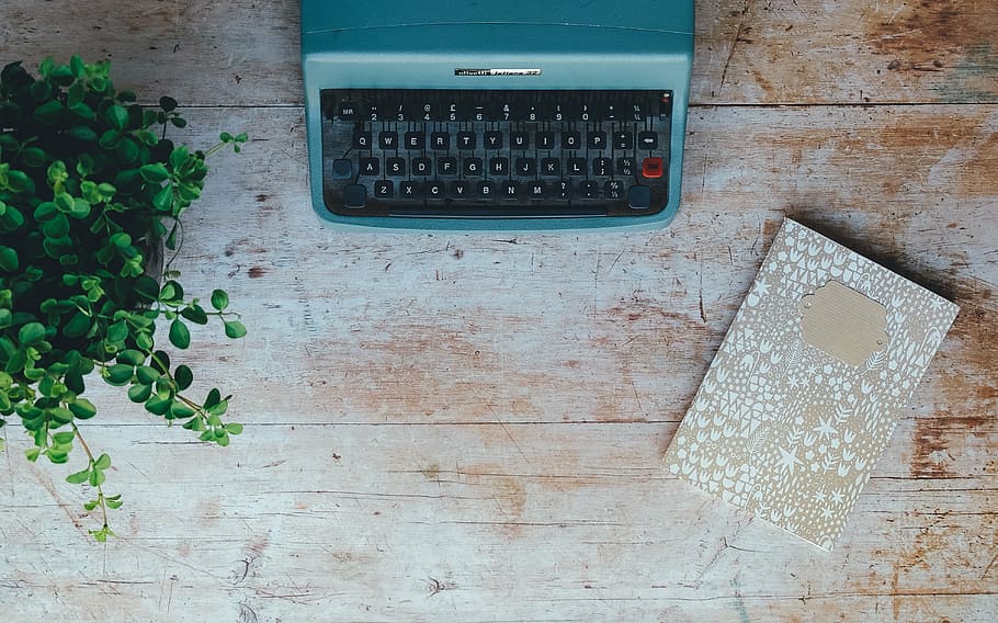 blue typewriter, vintage, typewriter, plant, book, notebook, notepad, table top, retro, vintage typewriter