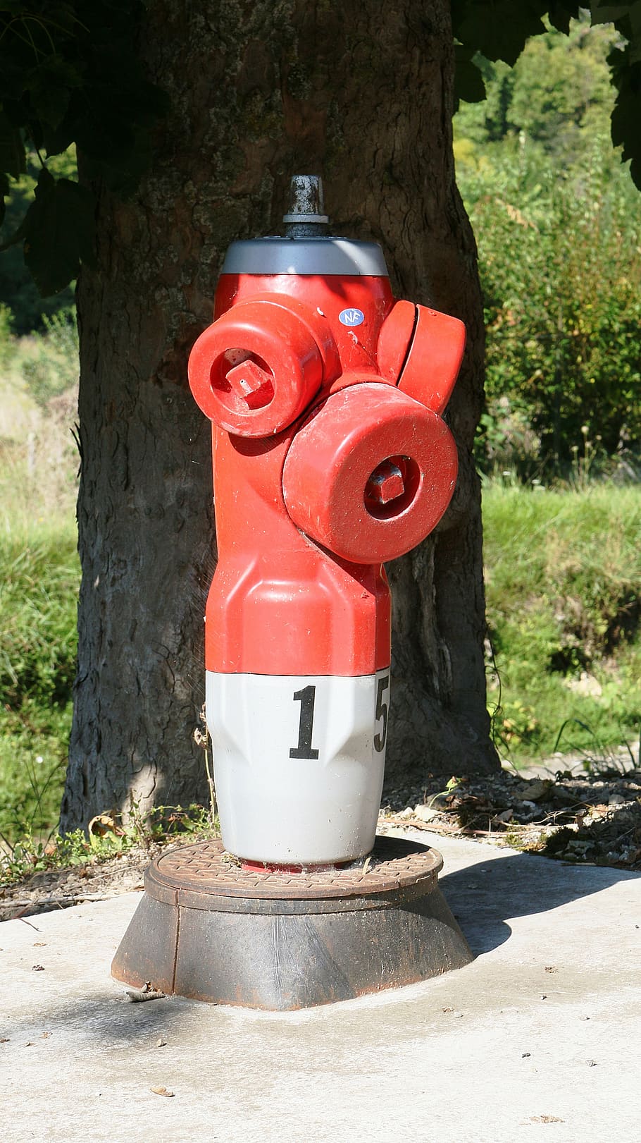 hydrant, fire hydrant, water, firefighter, fire, terminal, urban furniture, red, security, nature