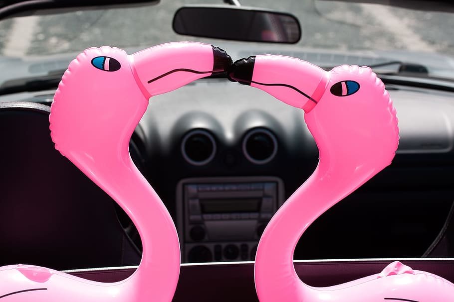 Flamingo, Beaks, Inflatable, Pink, romantic, lovers, heart, auto, cabriolet, holiday