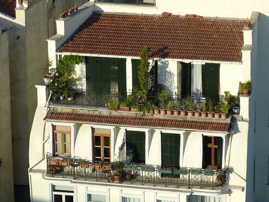Roof, Garden, Roof Garden, Istanbul, roof, garden, turkey, plant, balcony, cozy, recovery