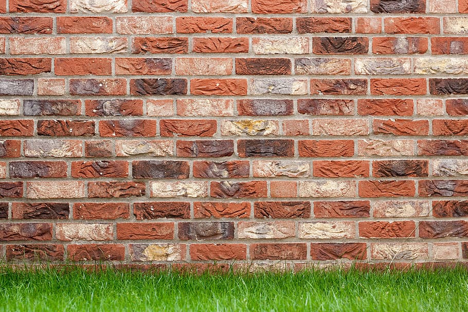 brown, green, grass, clinker bricks, clinker wall, brick, rush, garden wall, outer wall, garden