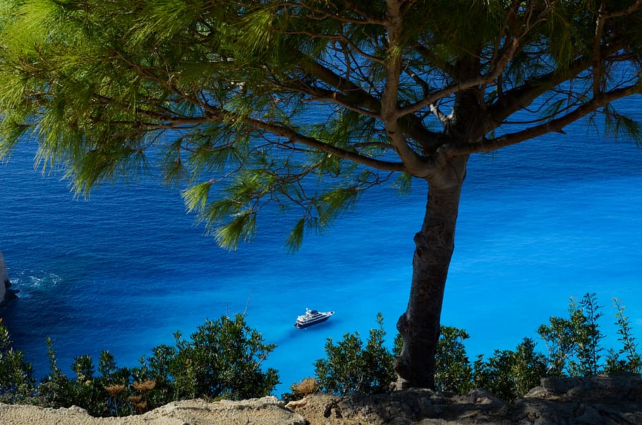 azul, água, mar, oceano, costa, barcos, árvores, árvore, planta, beleza da natureza