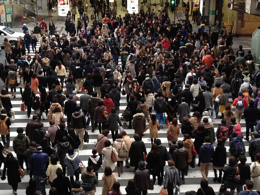 people, japan, crow, crowd, large group of people, group of people, real people, city, street, men