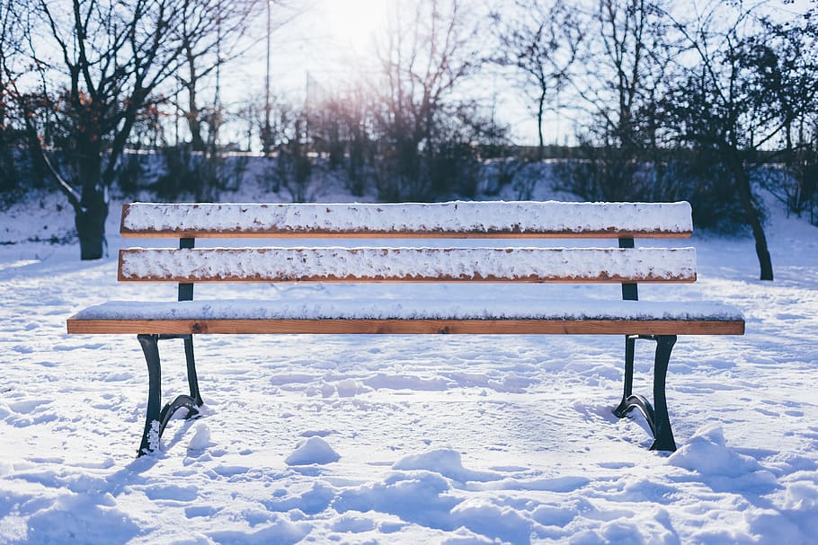 bench, outdoor, snow, winter, iceberg, trees, plant, sunny, day, cold temperature