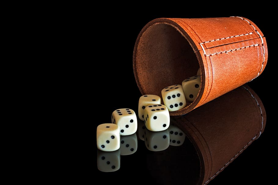 dice collection, brown, leather cup, cube, cup, shaker, dice cup, black, mirroring, fashion
