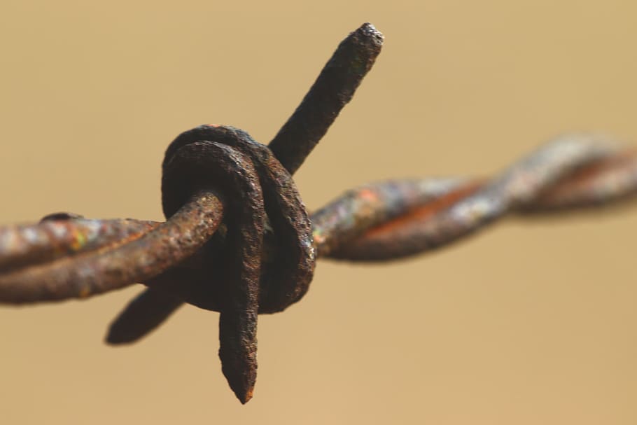 barbwire, macro, barbed, wire, fence, barbs, metal, close-up, rusty, strength