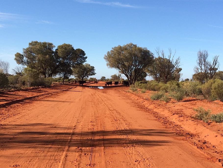 dirt road, Outback, Australia, Nature, red, australian outback, desert, travel, bush, wild