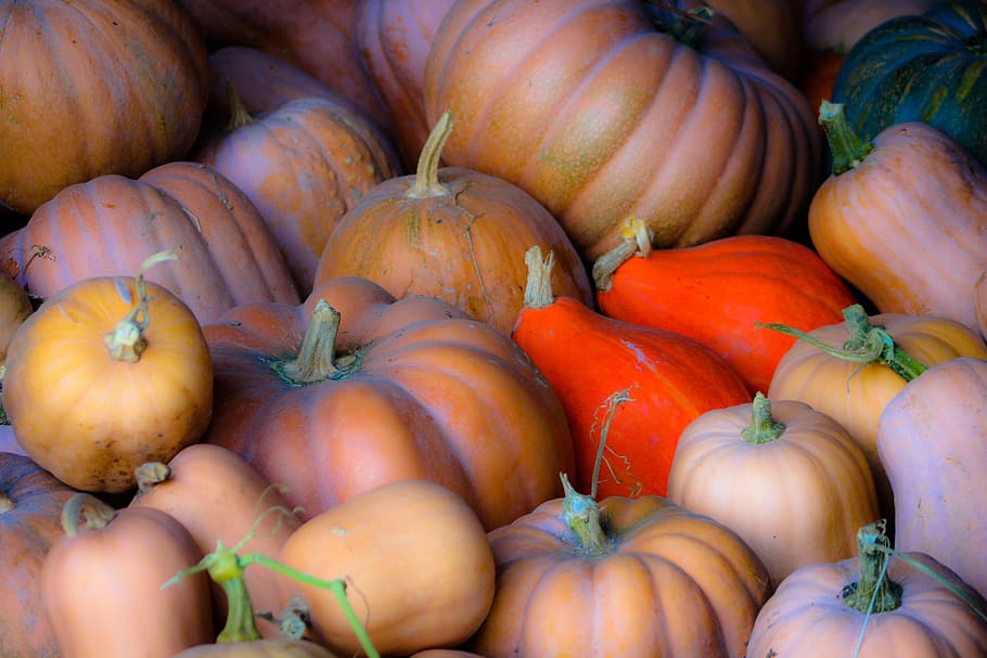the latest, autumn, orange, food, colorful, halloween, seasonal, cherry, vegetables, food and drink