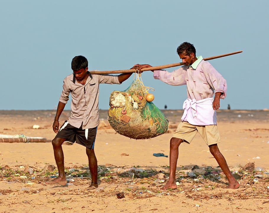 fishermen, nets, ocean, fishing net, equipment, carrying, labor, india, sea, men