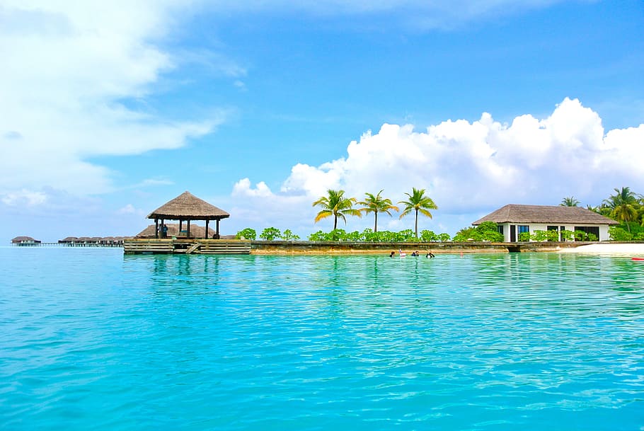 palmeiras, nublado, céu, corpo, água, maldivas, coqueiro, mar, resort, verão