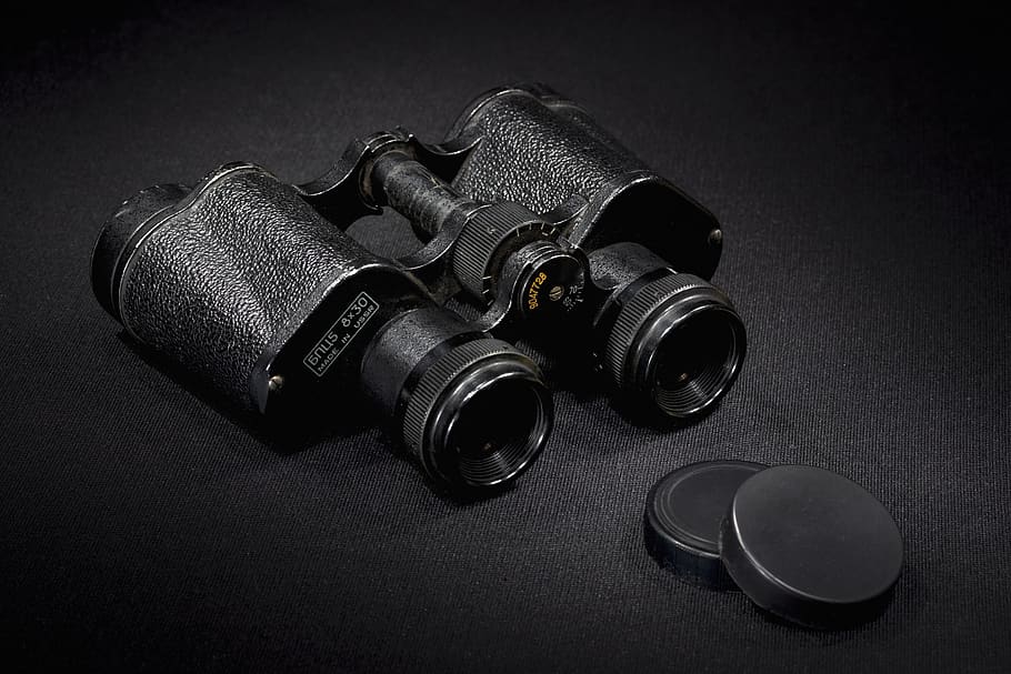 binoculars, birdwatching, spy glass, spying, dawn, spy, watch, see, light, golden