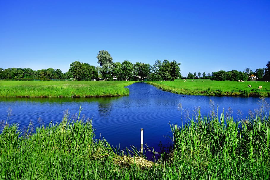 air, jalan air, lapangan, rumput, pedesaan, polder, langit biru, air biru, hijau, musim panas