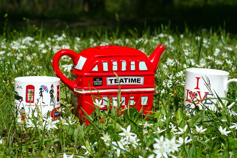 tea time, outdoor, cup, kettle, red, plant, grass, nature, text, communication