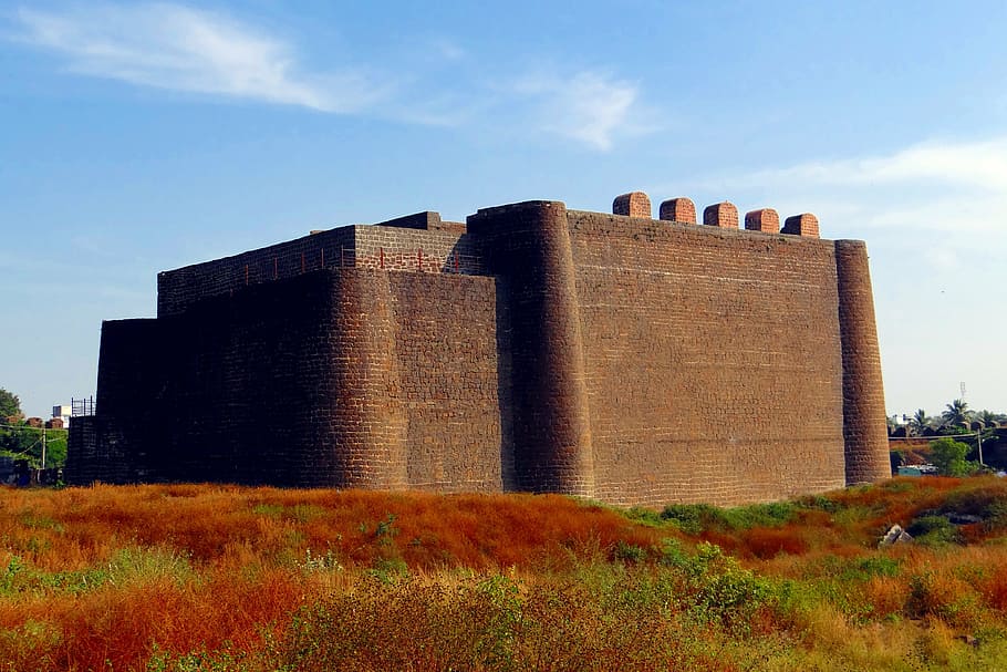 gulbarga fort, bahmani dynasty, indo-persian, architecture, karnataka, india, citadel, sky, built structure, plant