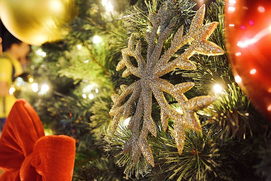 Navidad, celebración, decorativo, feliz, temporada, adorno de estrella, saludo, diciembre, adorno, festivo