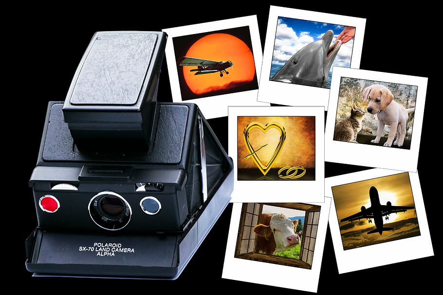 black, polaroid land camera, six, collage photos, photograph, polaroid, camera, images, memories, instant