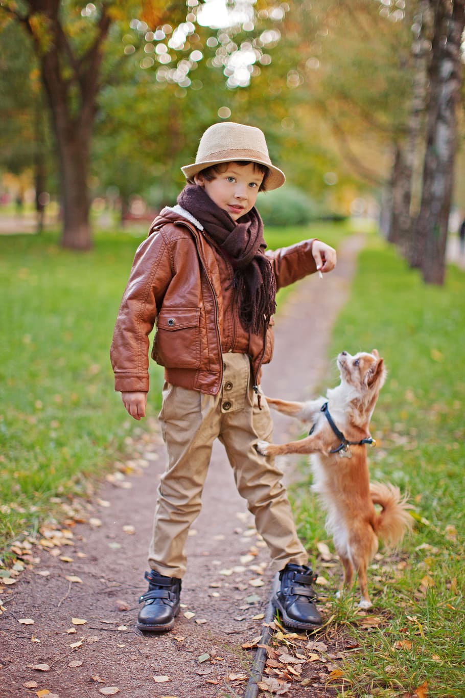 boy, standing, pathway, green, grass, dog, pug, small dog, animal, puppy