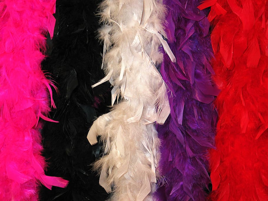 stoles, carnival stoles, feather shawl, costume, carnival, panel, colorful, color, make up, masquerade