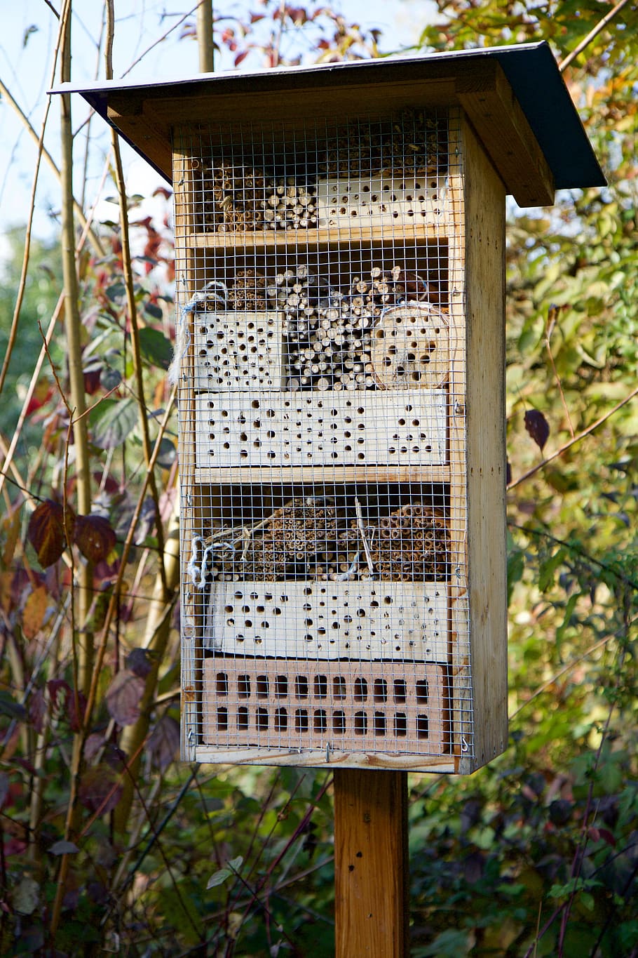 Nature, Wood, Wild Bees, Hotel, wild bee hotel, day, outdoors, beehive, close-up, animal themes