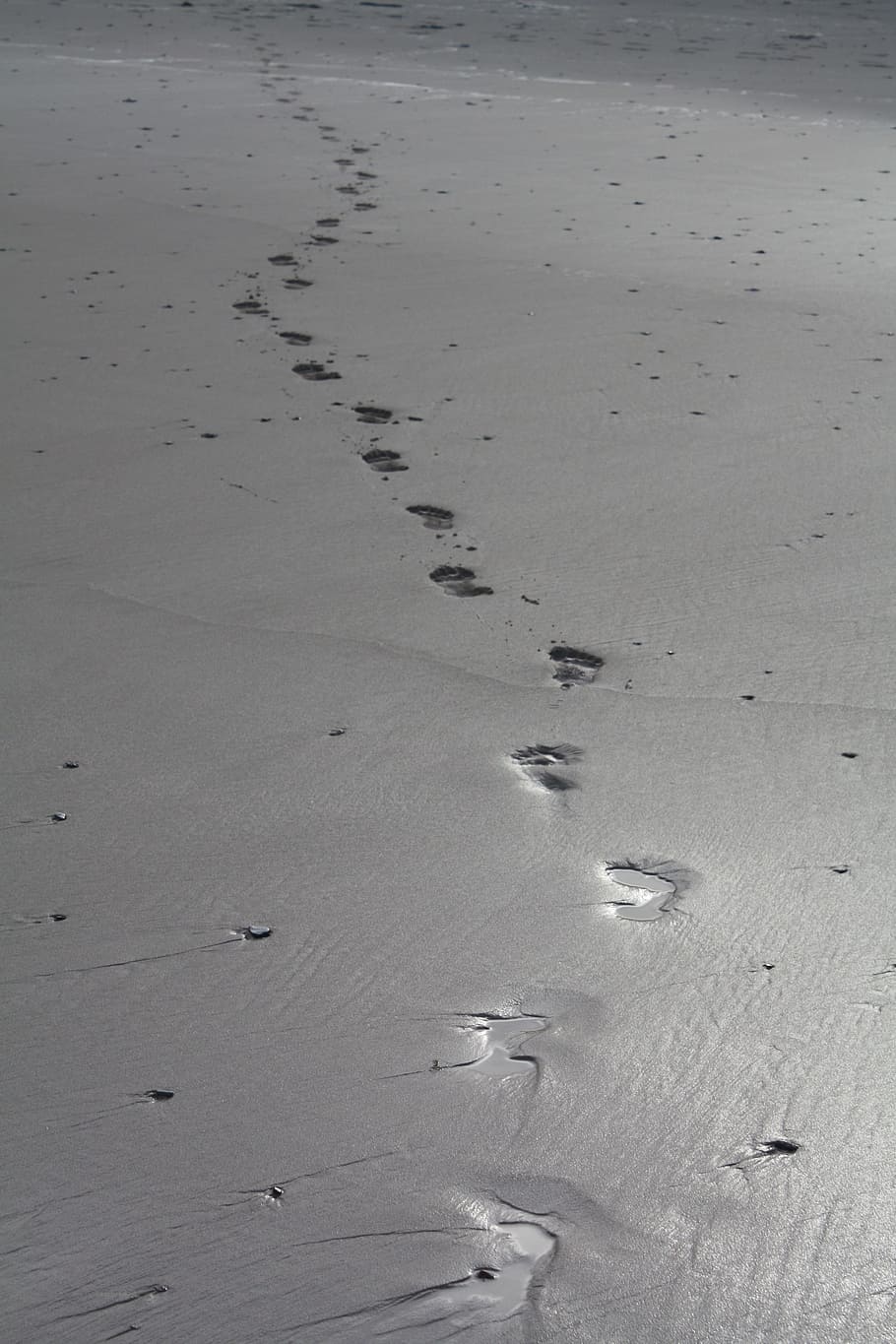 foot prints, sand, Foot, prints, beach, footprints, footsteps, footprint, nature, outdoors