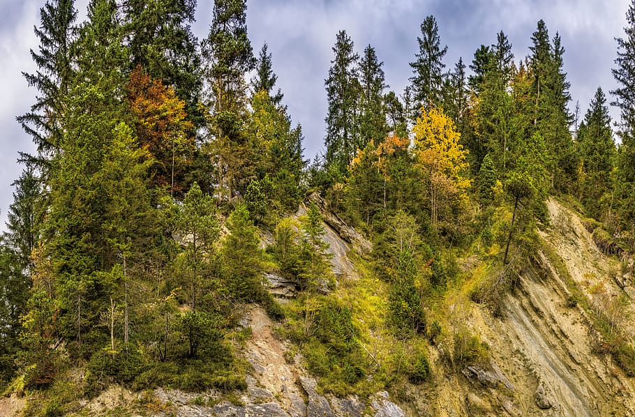 mountain, trees, rock, autumn, color, beautiful, summit, overgrown, alpine, bavaria