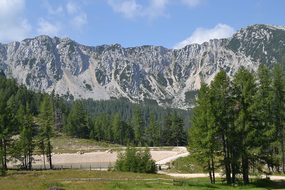 austria, mountains, landscape, sneak, alpine, nature, hiking, forest, mountain, outdoors