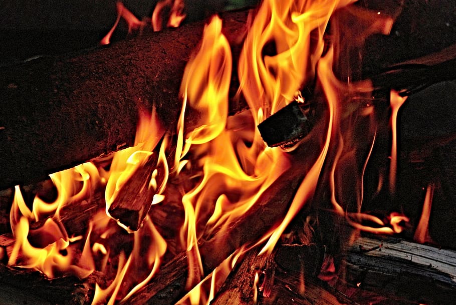 closeup, foto, pembakaran, kayu bakar, api, kayu, kuning, merah kuning, api - Fenomena Alam, panas - Suhu