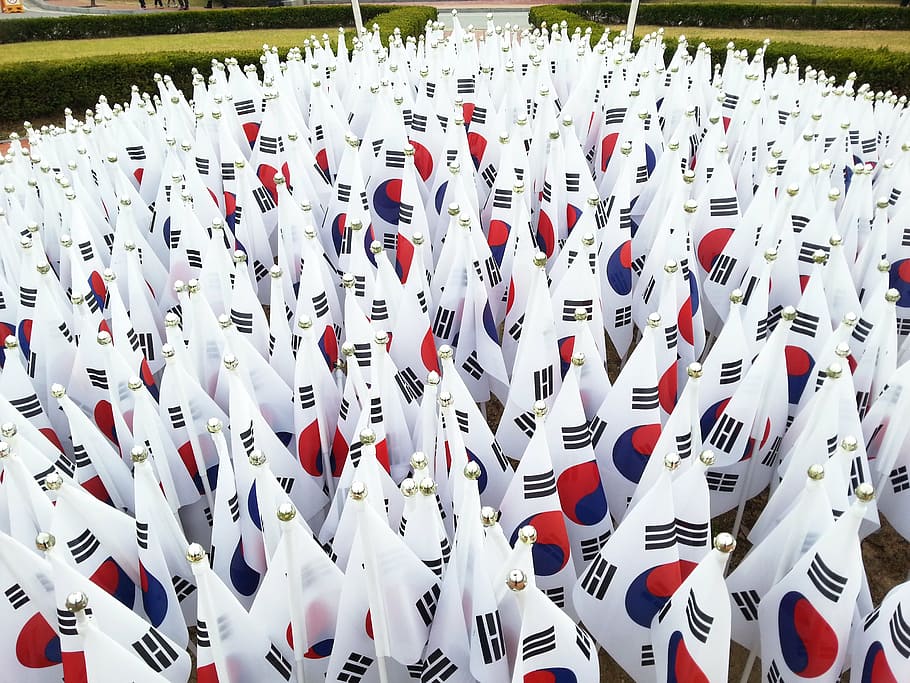 lote da bandeira da coreia, julia roberts, bandeira, coreia, república da coreia, a bandeira nacional da coreia, bandeira da coreia do sul, cor branca, ninguém, abundância