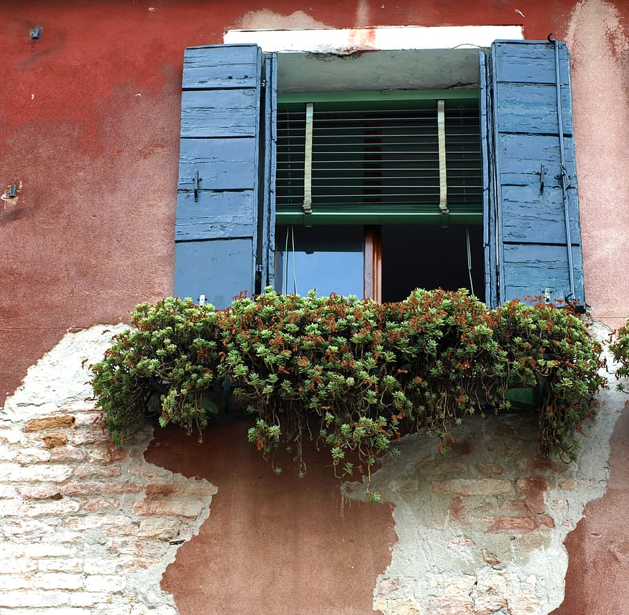exterior, janela, parede, flor, venezianas, tijolo, antigo, desgastado, casa, arquitetura