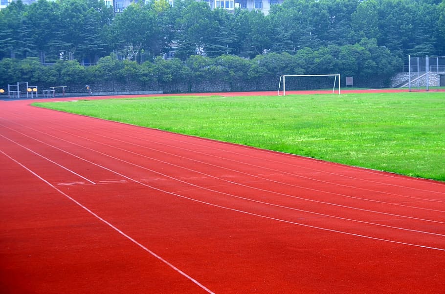 Sports, Field, Pitch, Athletic Field, sports, field, landscape, competition, track, sport, sports track