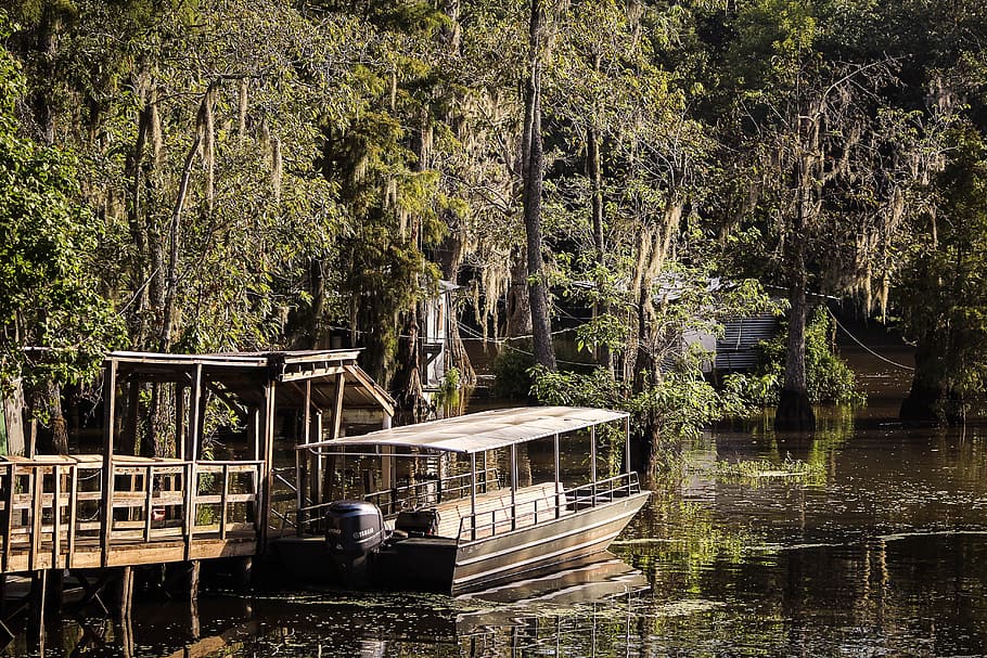 punt boat, body, water, pearl river, louisiana, bayou, swamp, riverboat, bayou cabins, boat launch