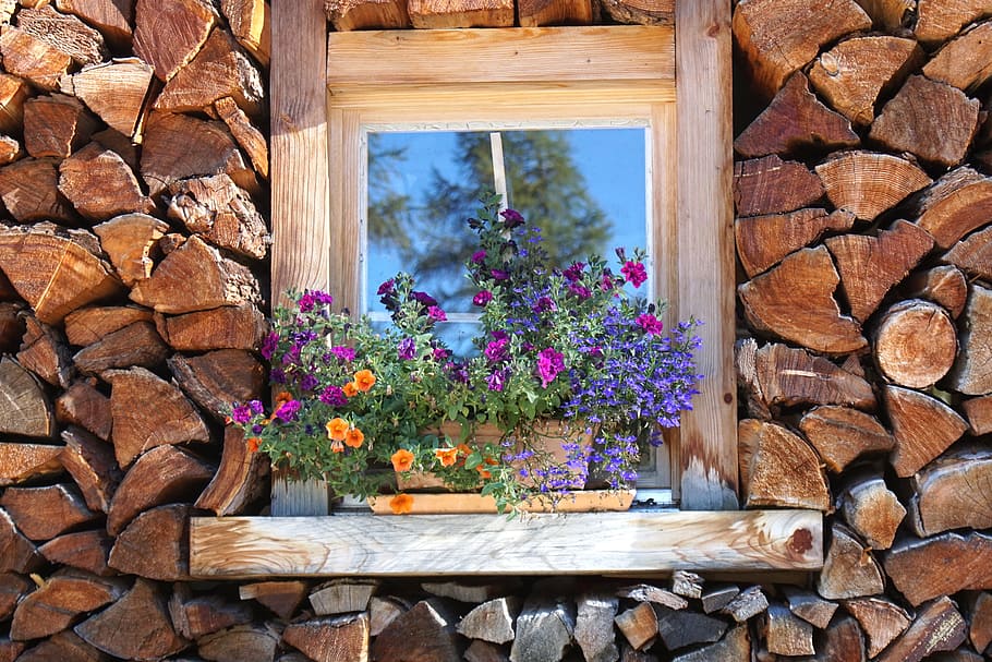 purple, pink, orange, flowers, brown, pot, holzstapel, window, stock, firewood