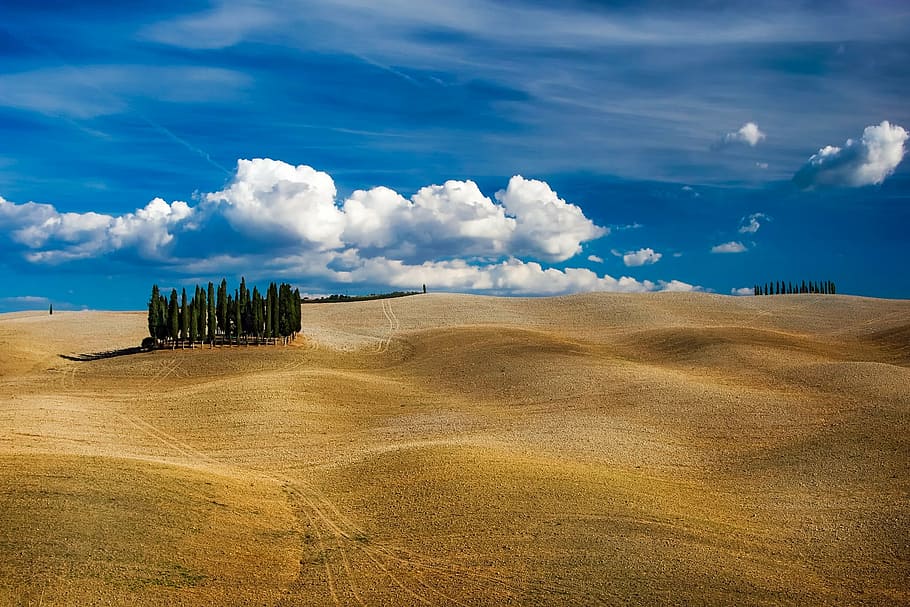 green, trees, middle, field, daytime, tuscany, italy, hills, rolling, landscape
