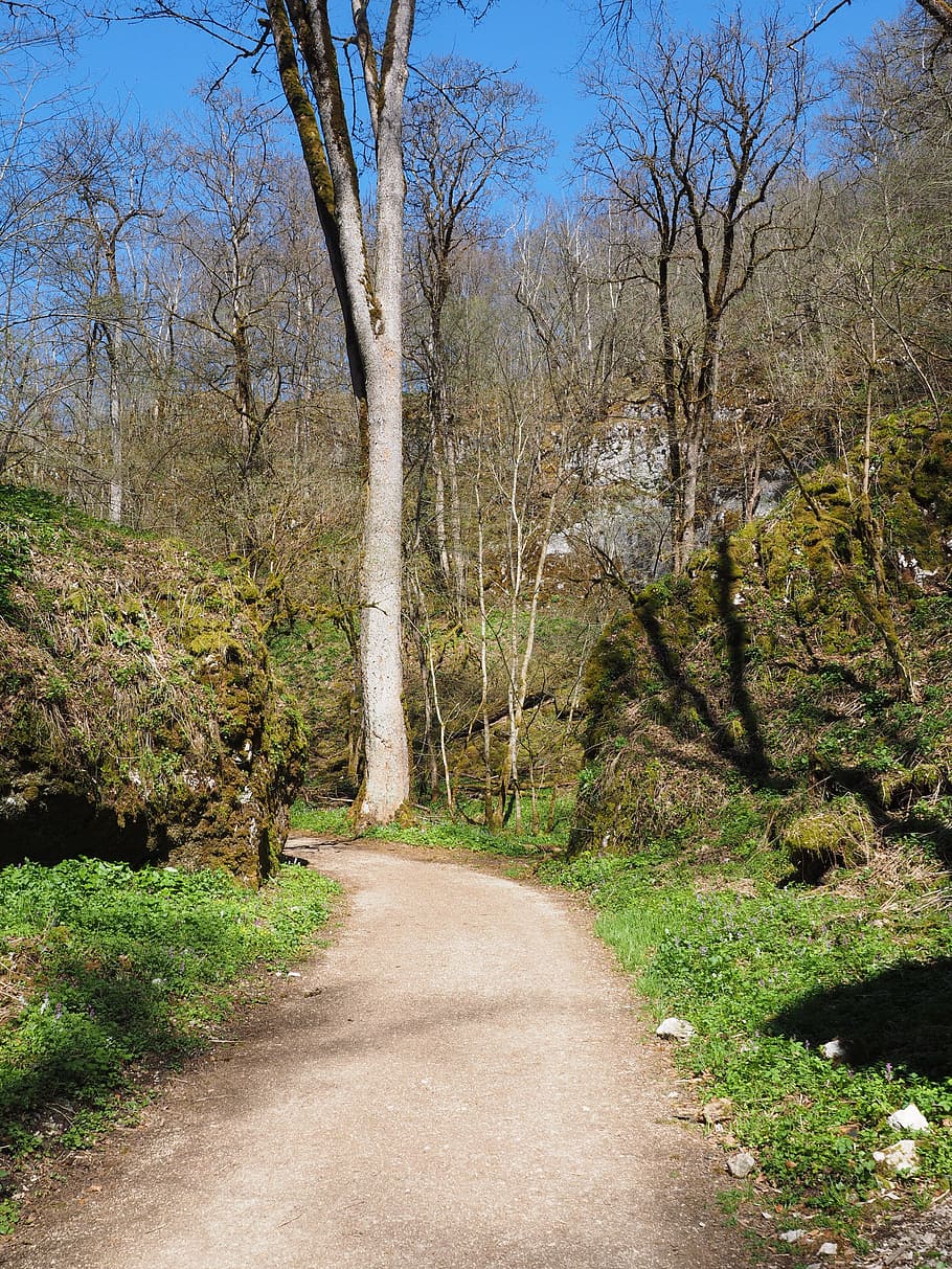 Valle del lobo, caminata, lejos, sendero, alba suabia, senderismo, paisaje, baden württemberg, árbol, carretera