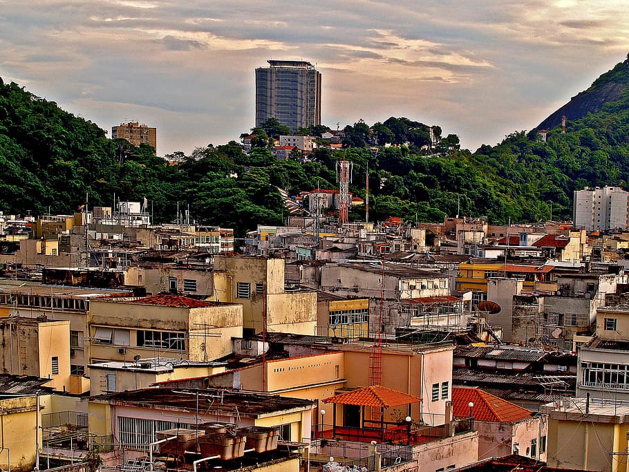 aerial, photography, buildings, trees, favelas, sheds, rio de janeiro, brazil, morning, architecture