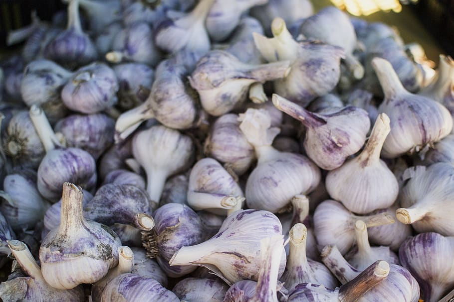 garlic, healthy, health, produce, grocery, farm, table, market, trade, orange