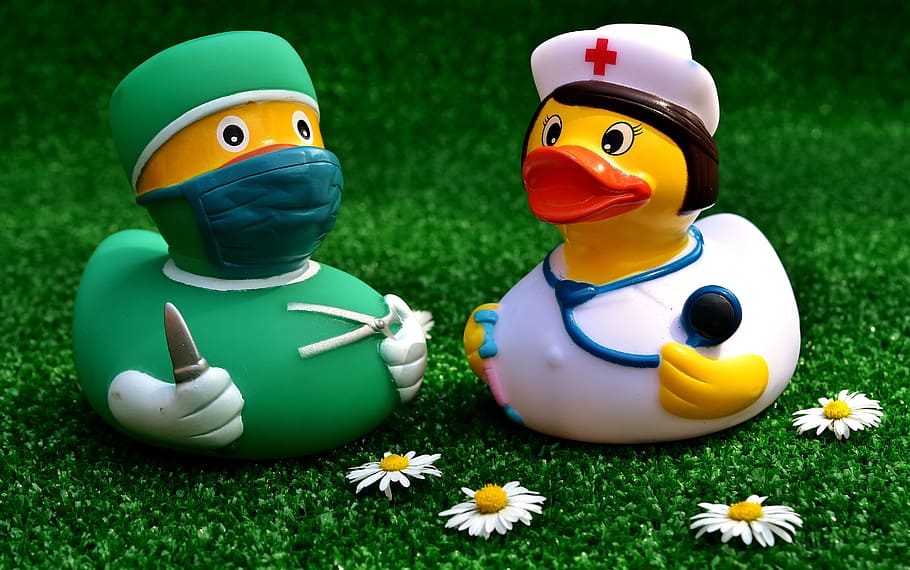 two, doctor, nurse rubber duckies, surgeon, operation, rubber duck, nurse, funny, cute, disease