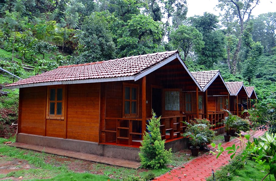 cabañas de madera, cabaña de madera, alojamiento familiar, café, finca, madikeri, kodagu, india, planta, estructura construida