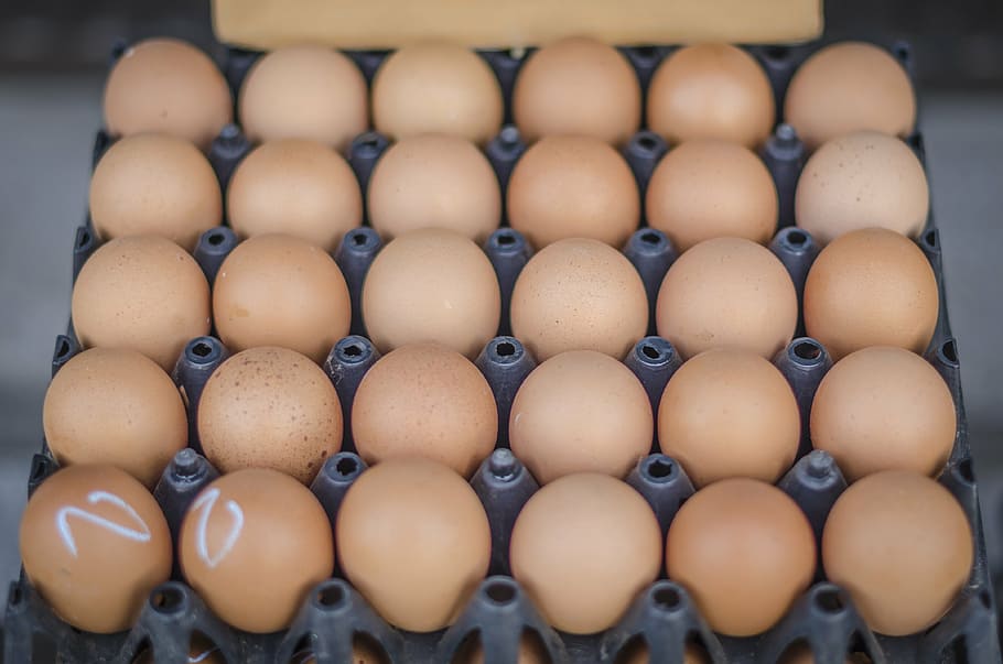 eggs, food, easter, breakfast, cook, brown, fresh, healthy, yolk, protein