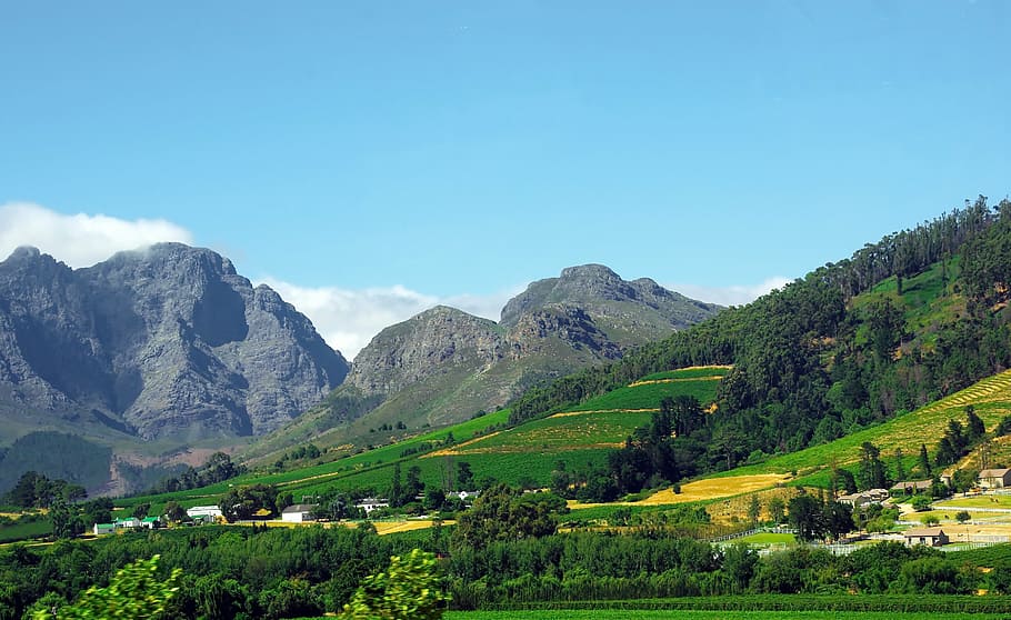 south africa, franshoeck, huguenot, protestant cap, vine, mountains, drakenstein, panorama, winery, mountain