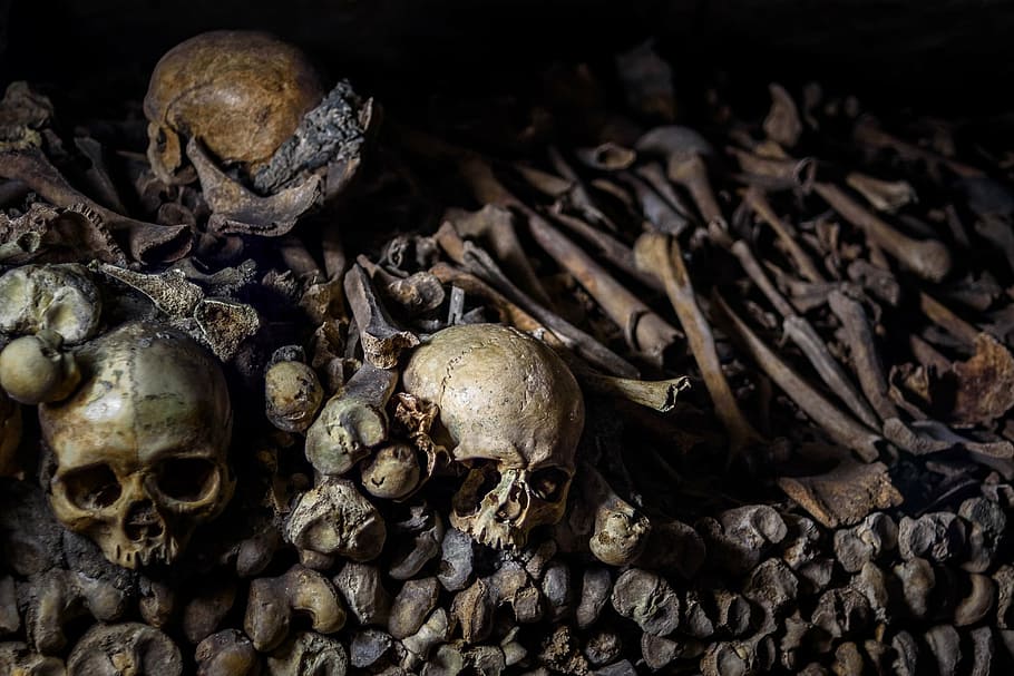 human bones, catacombs, underground ossuaries, paris, bones, cemetery, old, historical, caverns, tunnels