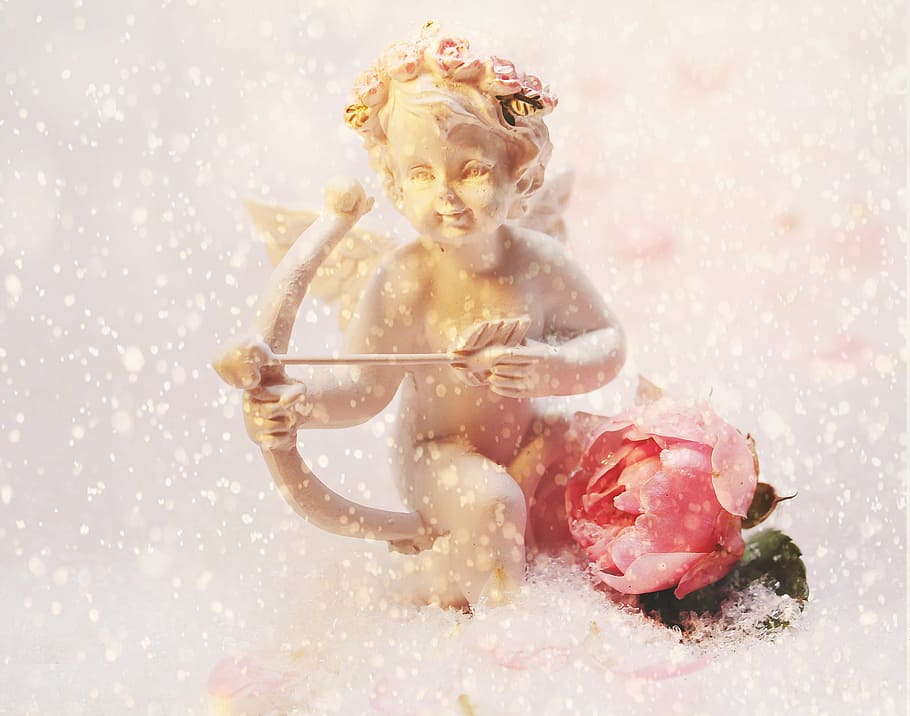 cherub, holding, bow, flower, love angel, angel, amor, figure, symbolism, feelings