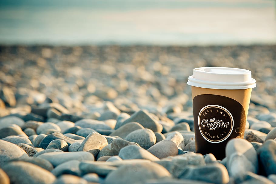 コーヒーカップ, 石, 海, コーヒー, 朝, 朝食, ビーチ, おはよう, エネルギー, 人なし