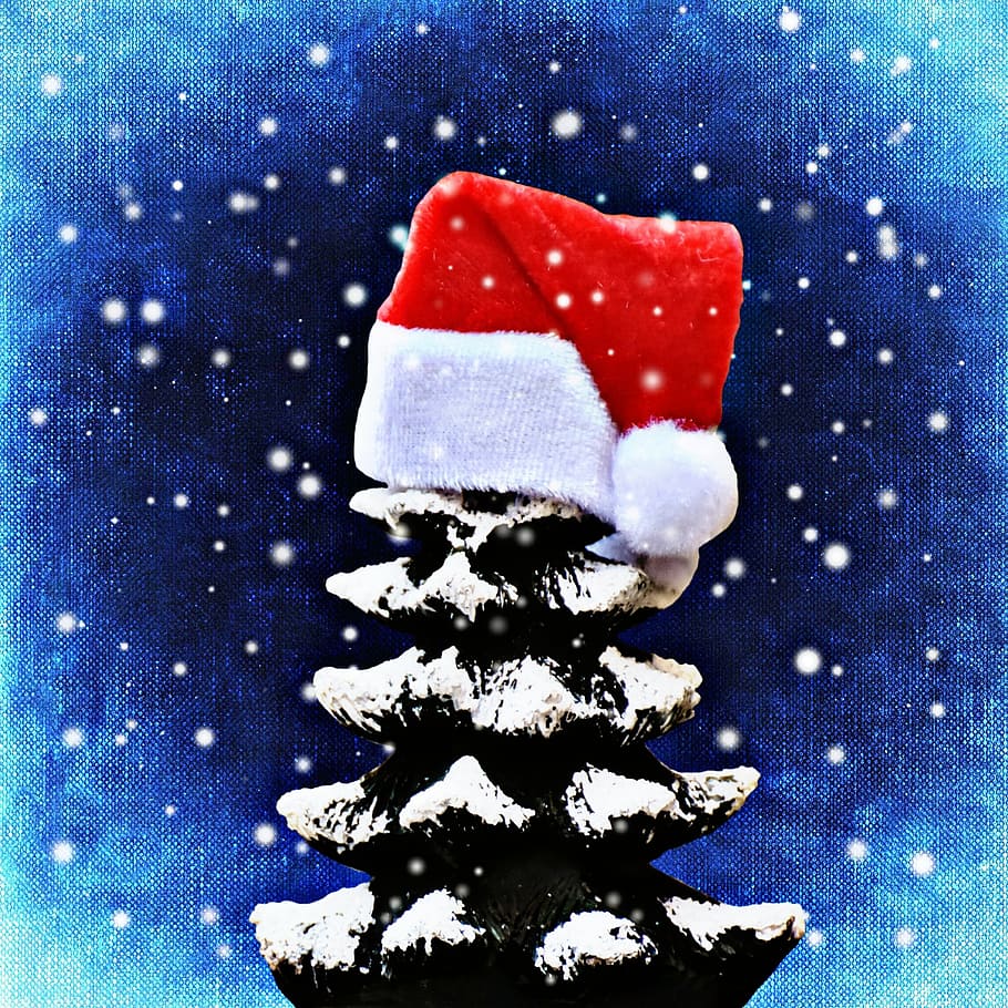 christmas, firs, snow, trees, funny, santa hat, christmas time, cute, advent, contemplative