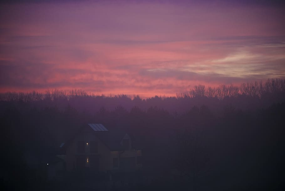 silueta, árboles, blanco, casa, rodeado, nublado, puesta de sol, púrpura, rosado, anochecer