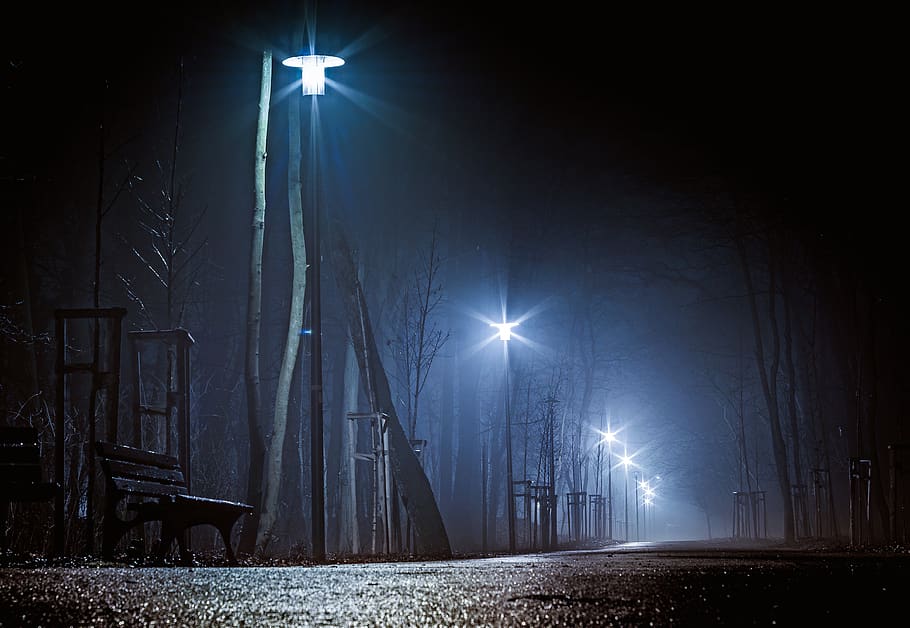 the park at night, dark street, night, lanterns, the fog, dark, in the evening, road, wet, cold
